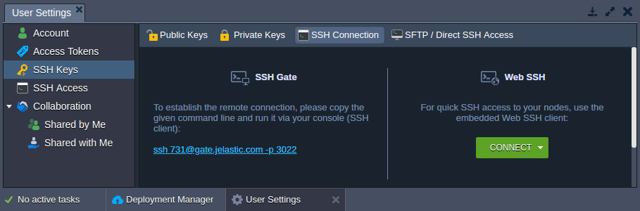 43-ssh-keys-user-settings