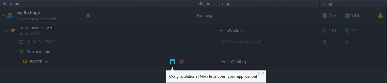 12-tutorial-open-application-in-browser