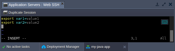 04-export-custom-variables-ssh