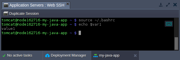 05-verify-custom-variables-availability-ssh