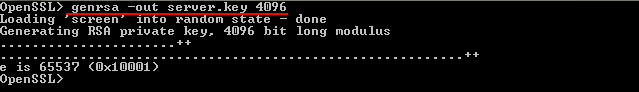 01-windows-generate-server-key