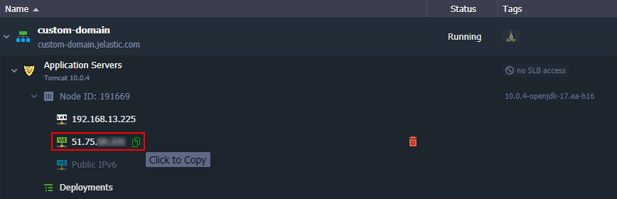 10-copy-public-ip-address 10-copy-public-ip-address